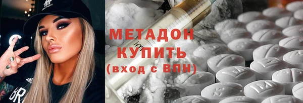 прущие грибы Алексеевка