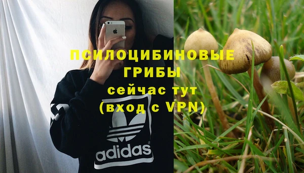 меф Алзамай