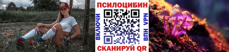 ОМГ ОМГ вход  Коркино  Галлюциногенные грибы прущие грибы 